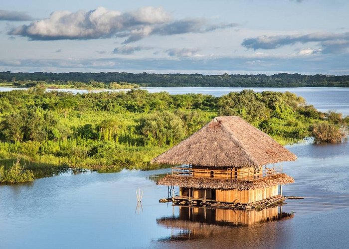 Amazonian Ecology Expedition